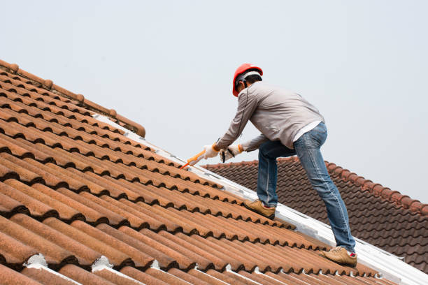 Best Roof Ventilation Installation  in Desert View Highlands, CA